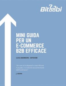 mini-guida-e-commerce-b2b