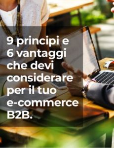 9-principi-6-vantaggi-e-commerce-b2b