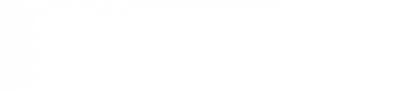 Italcuscinetti